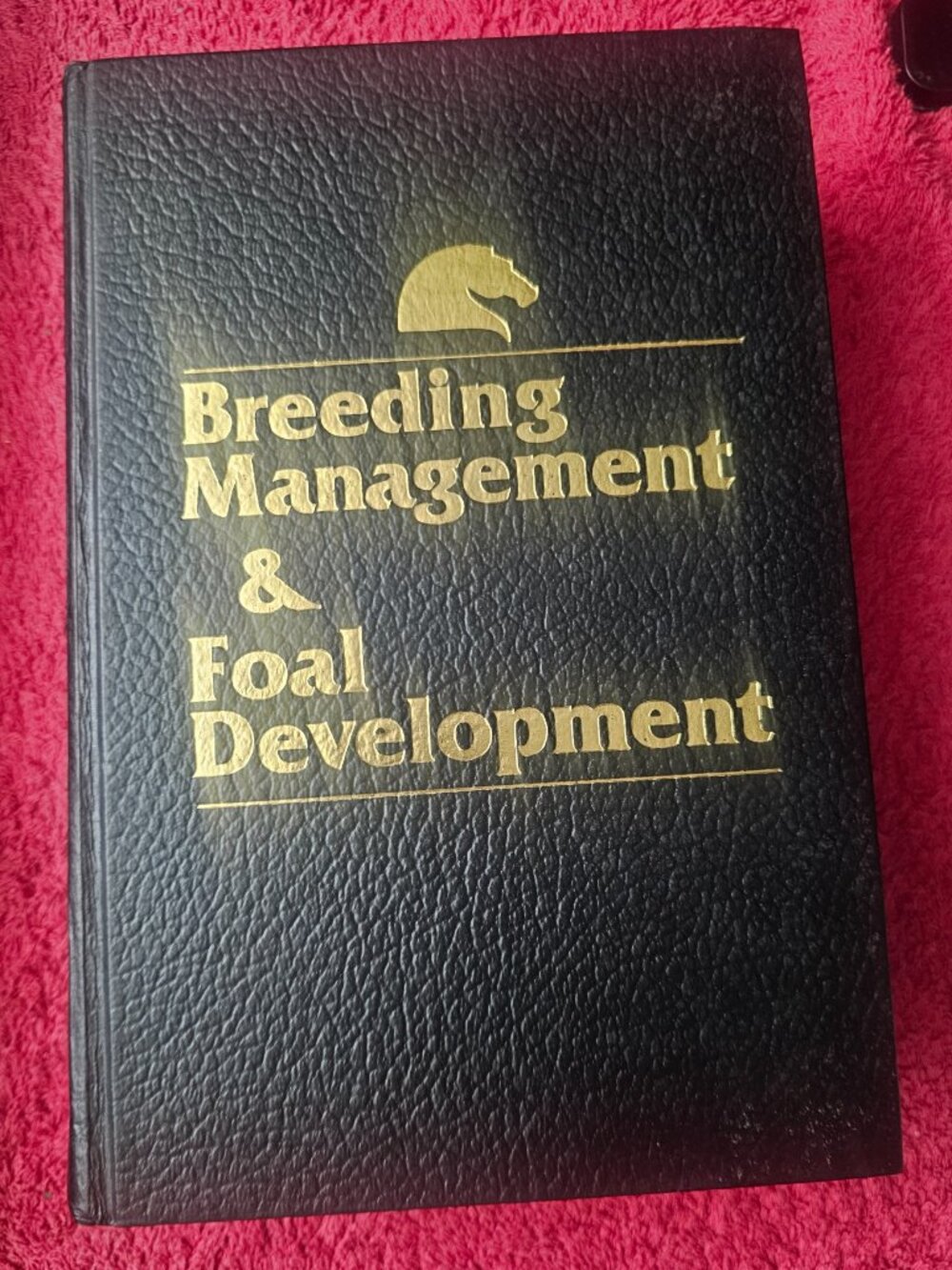 Breeding Management & Foal Development - Equine Research